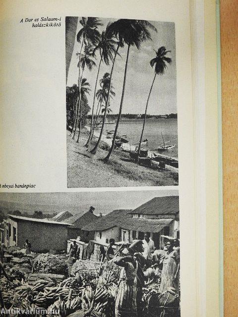 Cikcakkban az Egyenlítőn