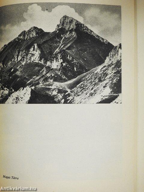 80 naplóval a Föld körül