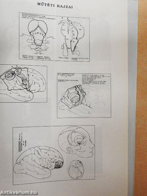 Dr. Sántha Kálmán