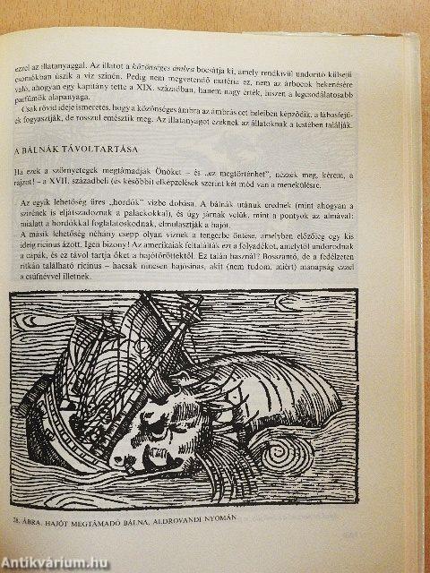 A tenger legendáriuma