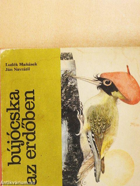 Bújócska az erdőben