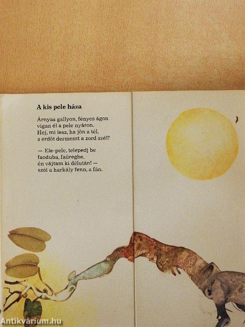 Bújócska az erdőben