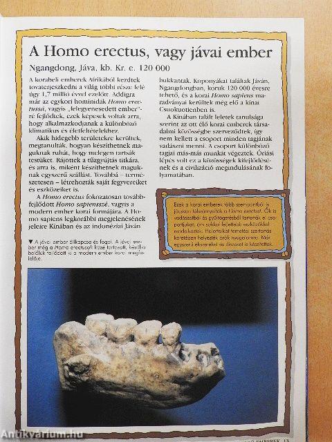 A világ 100 leghíresebb régészeti felfedezése