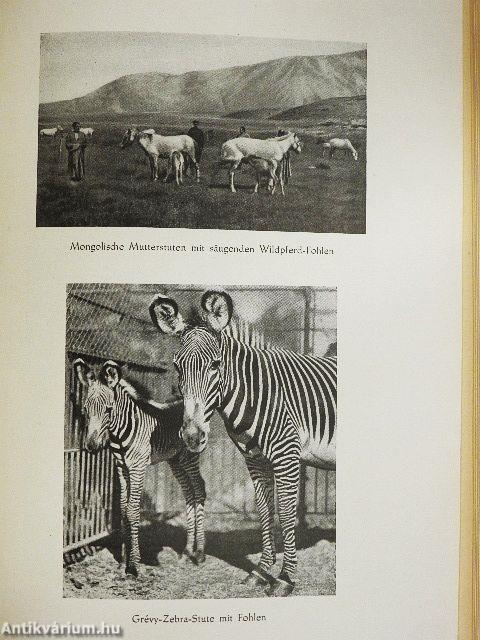 Von Tieren und Menschen