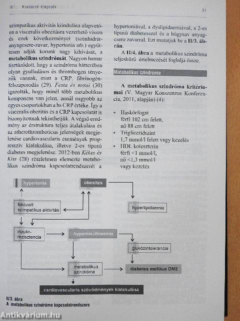 A hypertonia és kardiovaszkuláris prevenció kézikönyve