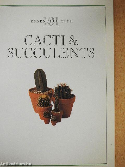 Cacti & Succulents
