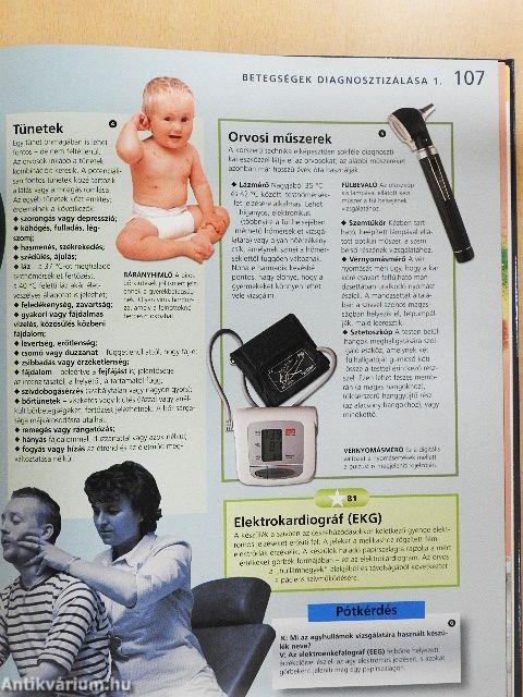 Testünk és egészségünk