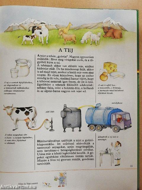 Fedezzük fel a világot!