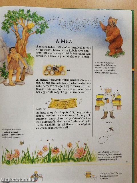 Fedezzük fel a világot!