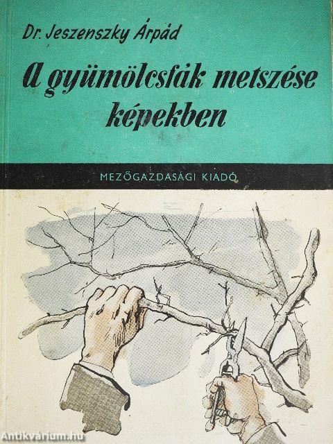A gyümölcsfák metszése képekben