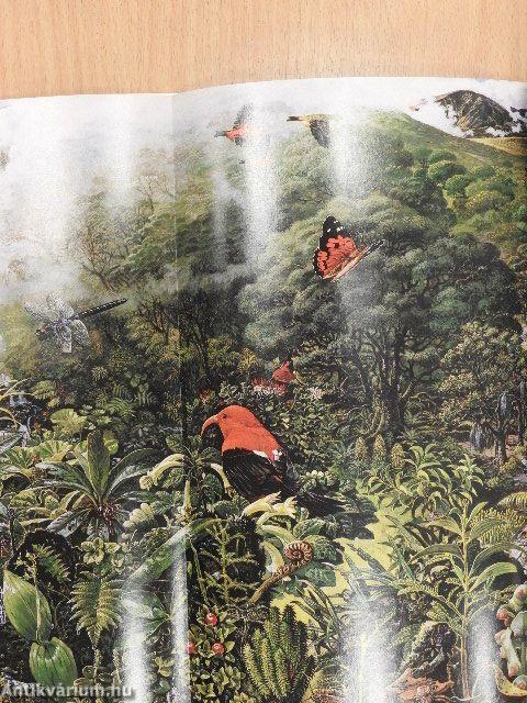 National Geographic July 1990