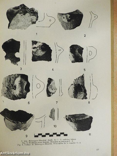 A tiszapolgári kultúra települése Bélmegyeren