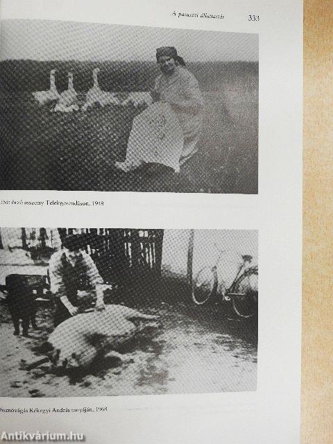 A paraszti állattartás