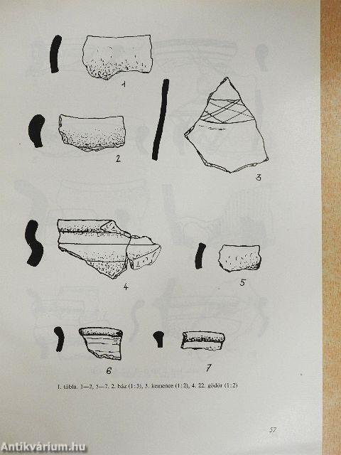 Késő La Téne-kori település Csongrád határában