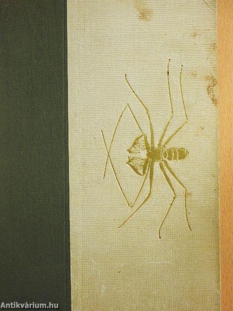 Kalandok a brazíliai őserdőben