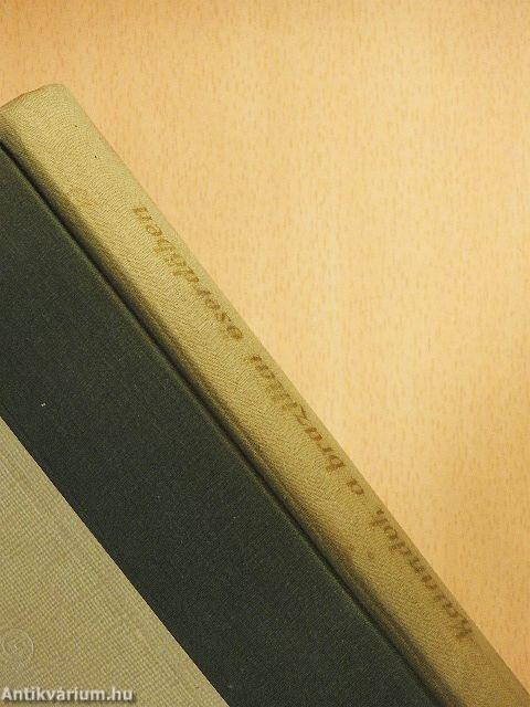 Kalandok a brazíliai őserdőben