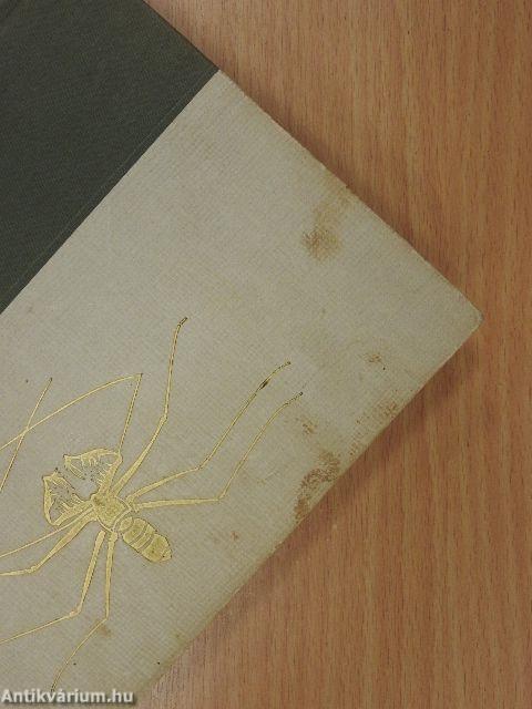 Kalandok a brazíliai őserdőben