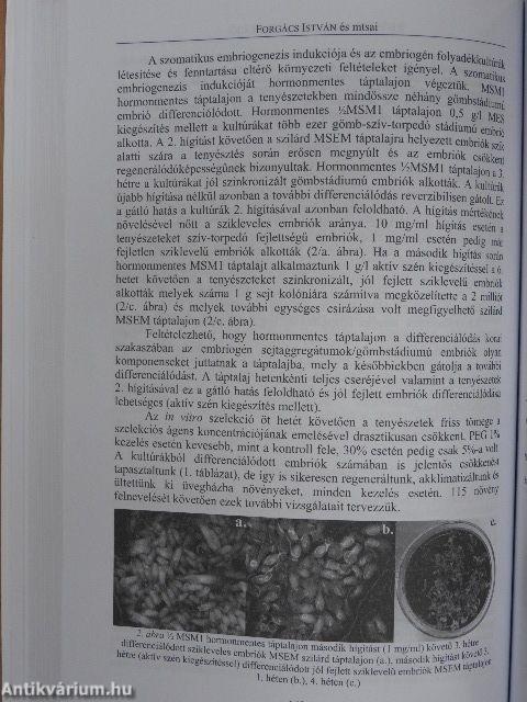 Növénynemesítés a megújuló mezőgazdaságban