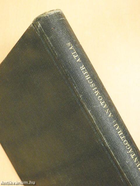 Anatomischer Atlas des Menschlichen Körpers I.