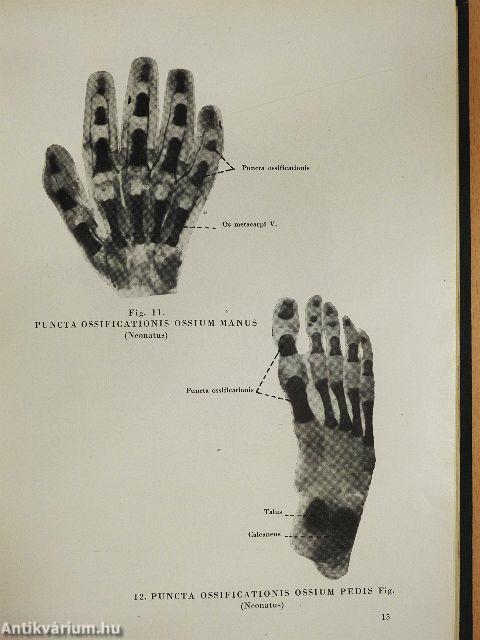 Anatomischer Atlas des Menschlichen Körpers I.