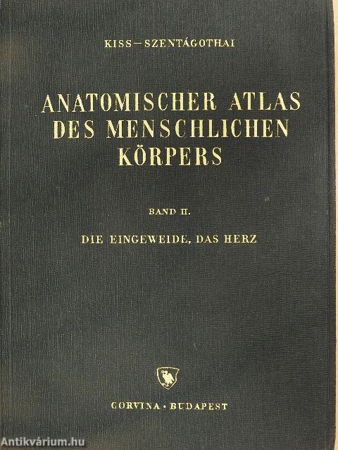 Anatomischer Atlas des Menschlichen Körpers II.