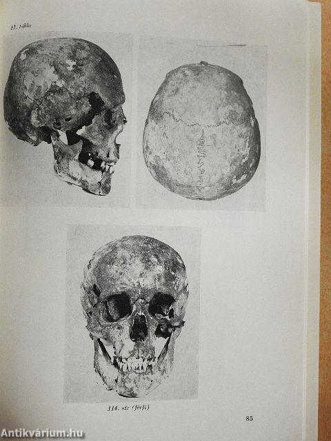 Az Egri Múzeum Évkönyve XI-XII.