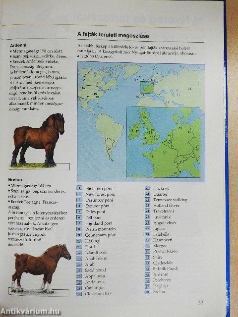 Lovak és pónik képes enciklopédiája