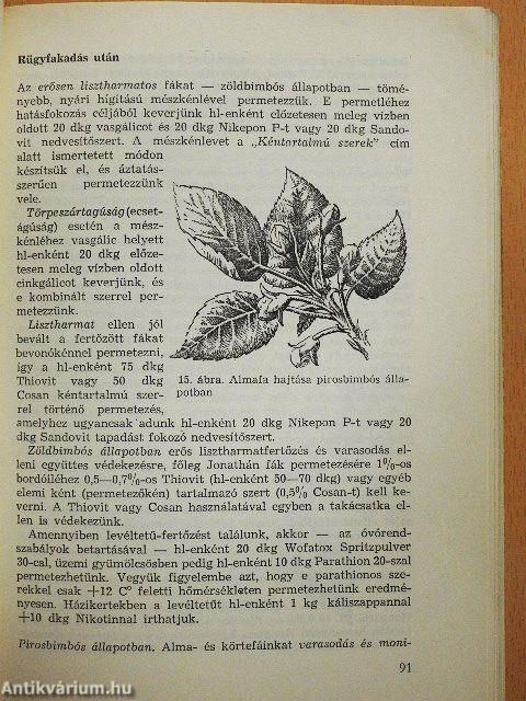 Permetezés, porozás