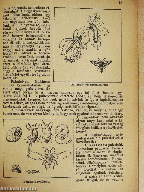 Gyümölcsfák rovarkártevői