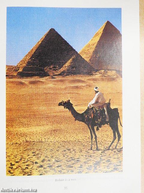 Az arabok története