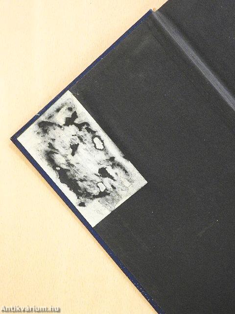 Schiller I. (gótbetűs)