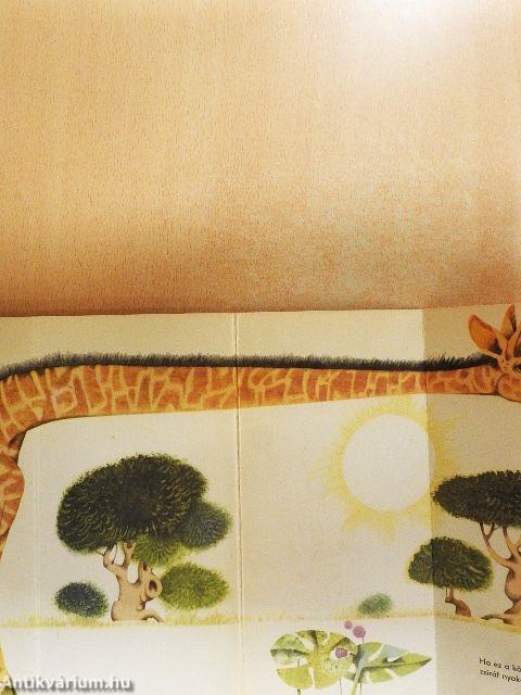 Miről álmodik a rozmár?