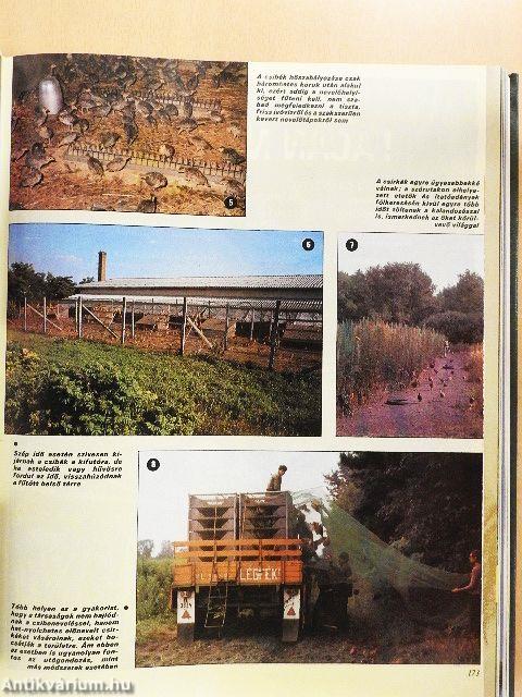 Nimród 1985. január-december