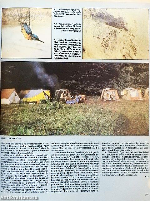 Nimród 1984. január-december/Nimród Fórum 1984. augusztus, október/Karácsonyi melléklet