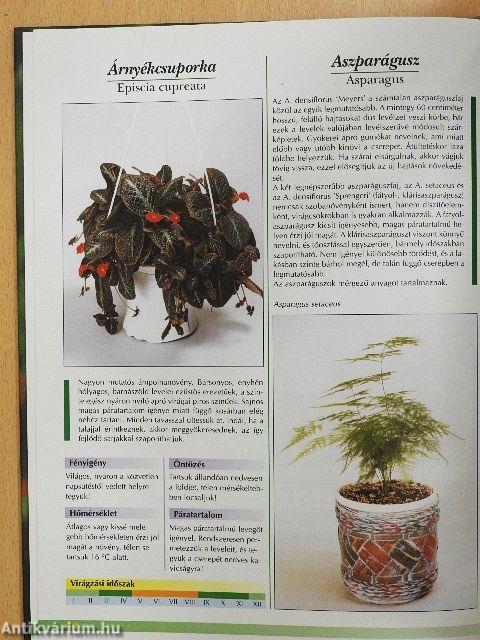 Otthonunk növényei