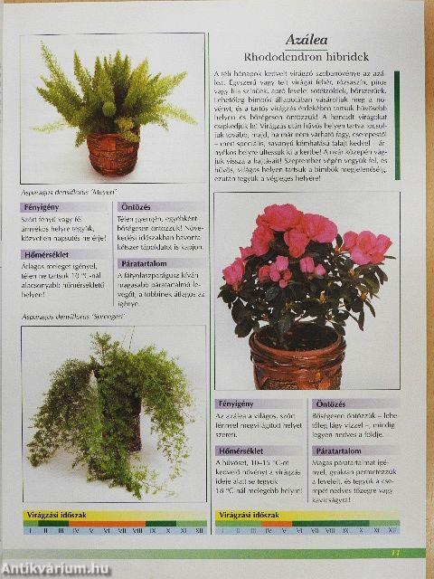 Otthonunk növényei