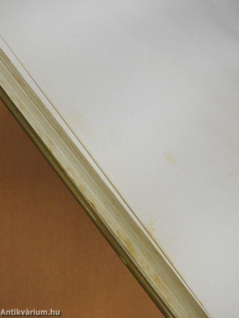 A Távol-Kelet és az új Európa