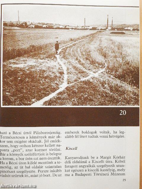 Magyarok a 20. században - CD-vel