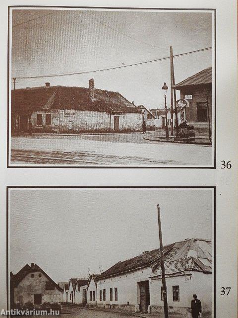 Magyarok a 20. században - CD-vel