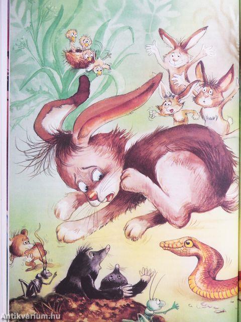 A téli tücsök meséi