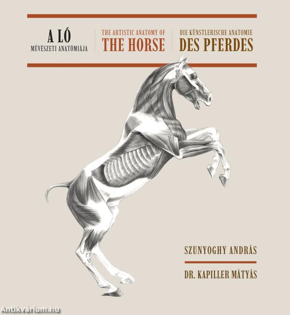 A ló művészeti anatómiája (magyar-angol-német nyelvű)