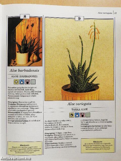 200 kedvelt szobanövény termesztése és ápolása