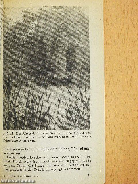 Geschützte Tiere im Garten