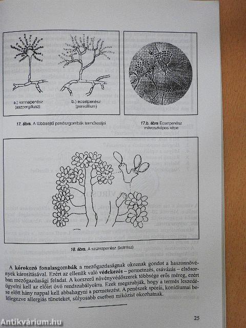 Mikrobiológia és táplálkozásélettan