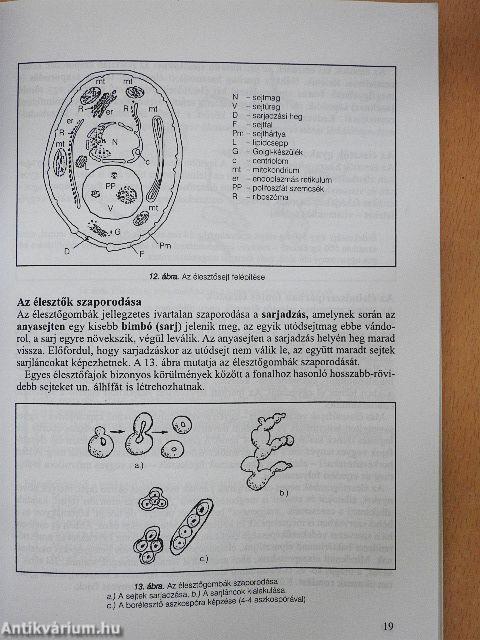 Mikrobiológia és táplálkozásélettan