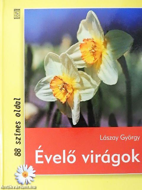 Évelő virágok