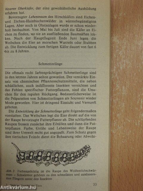 Geschützte Tiere im Garten