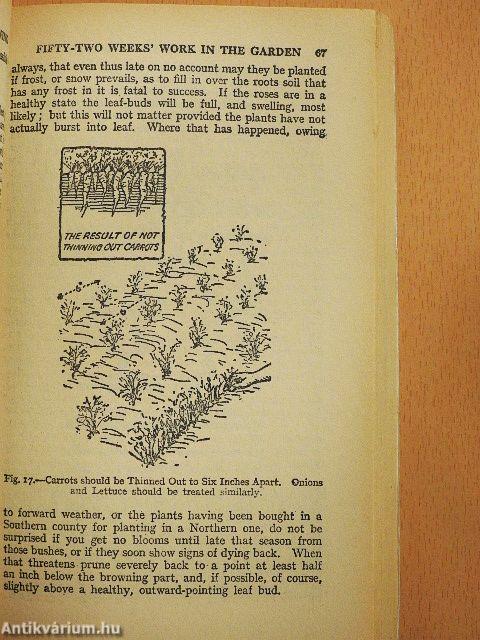 Foulsham's Complete Guide to Gardening