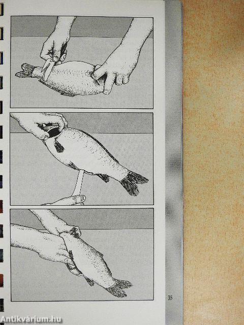 A főzés tudománya