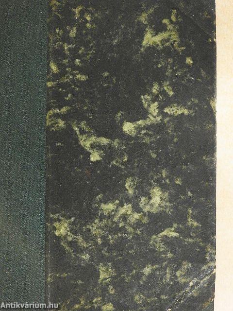 Az ismeretlen gyermek